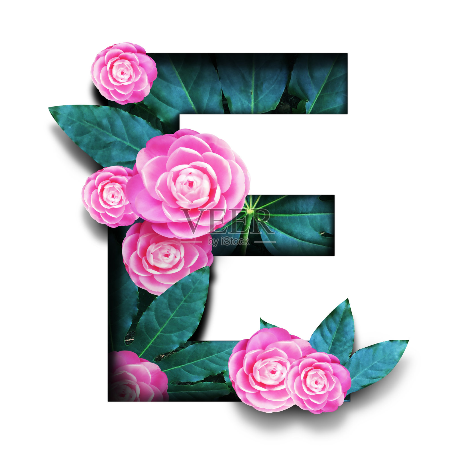 热带花卉字体字母设计与剪纸风格的白色背景照片摄影图片