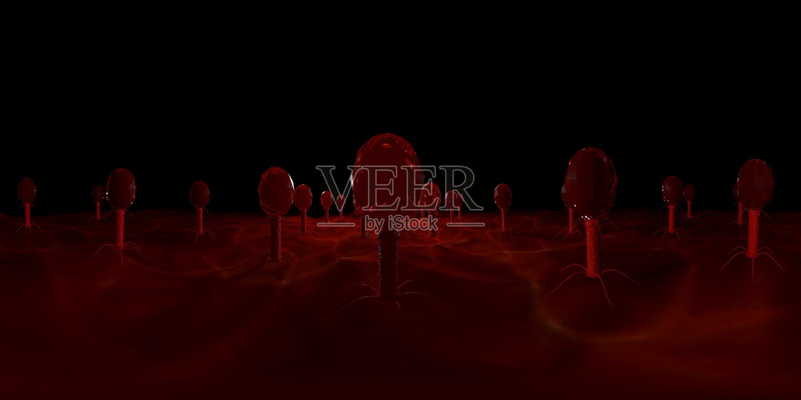 3d渲染显微镜病毒-细菌近距离。等矩形360 VR图像。医学全景背景。照片摄影图片