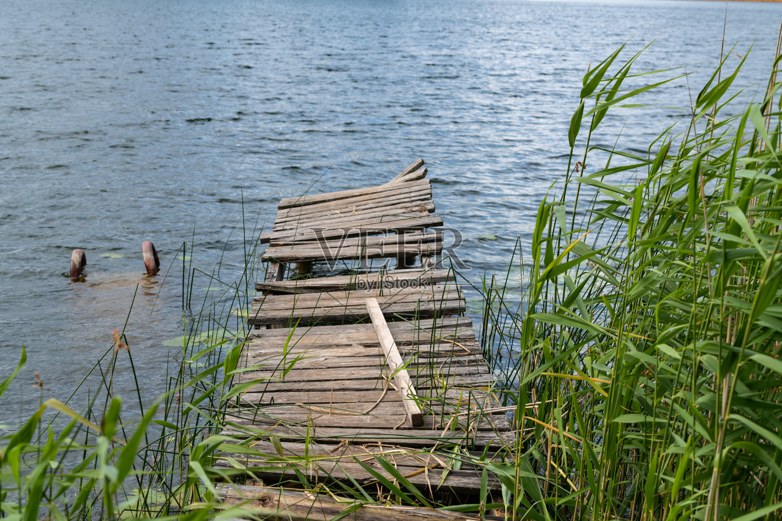废弃的旧木桥的残迹。荒凉的码头。森林和天空在水中的倒影。一个湖的岸边照片摄影图片