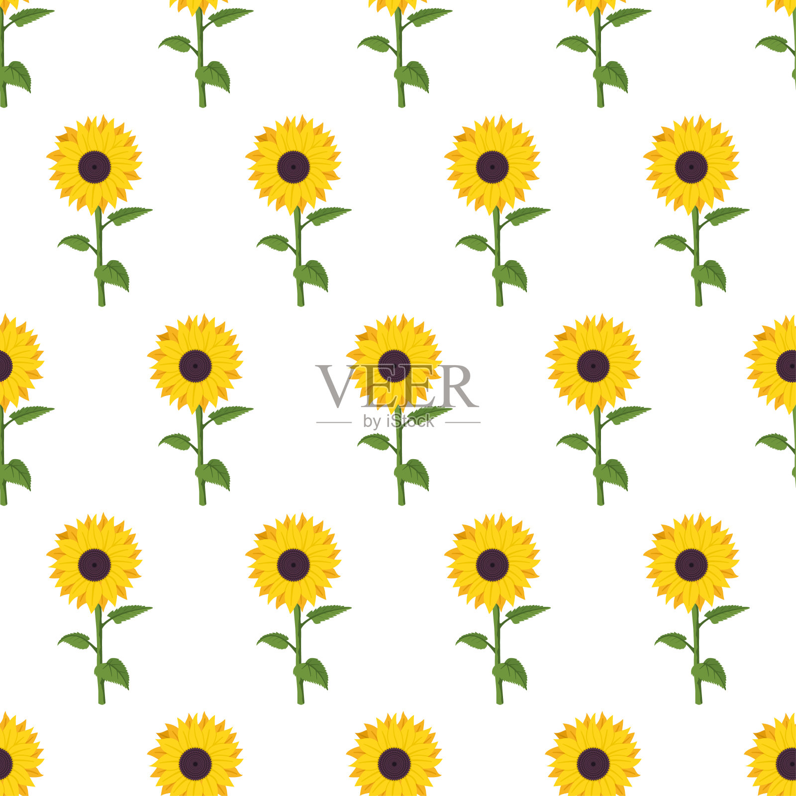 向日葵矢量卡通无缝图案上的白色背景。设计元素图片