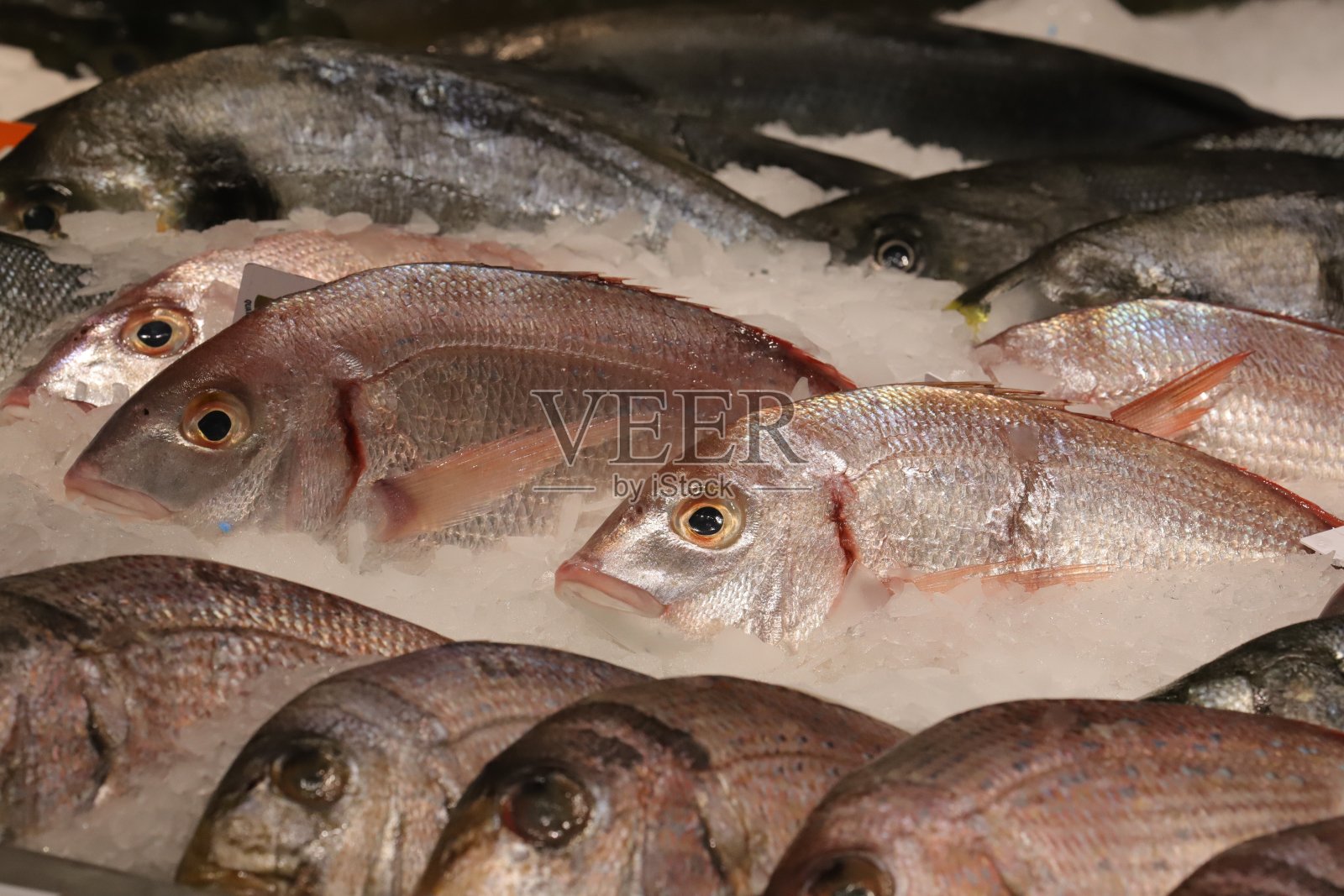 鱼市场里的冰海鲜照片摄影图片