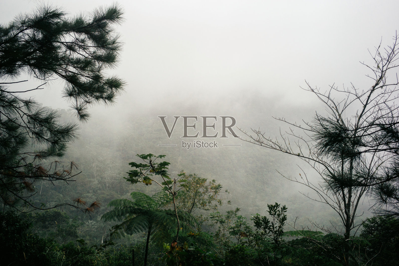 古巴圣地亚哥和马埃斯特腊山脉照片摄影图片