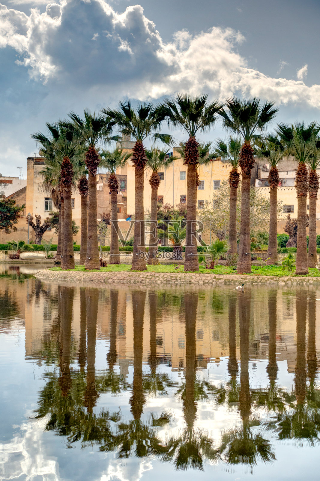 摩洛哥非斯市的城市公园照片摄影图片