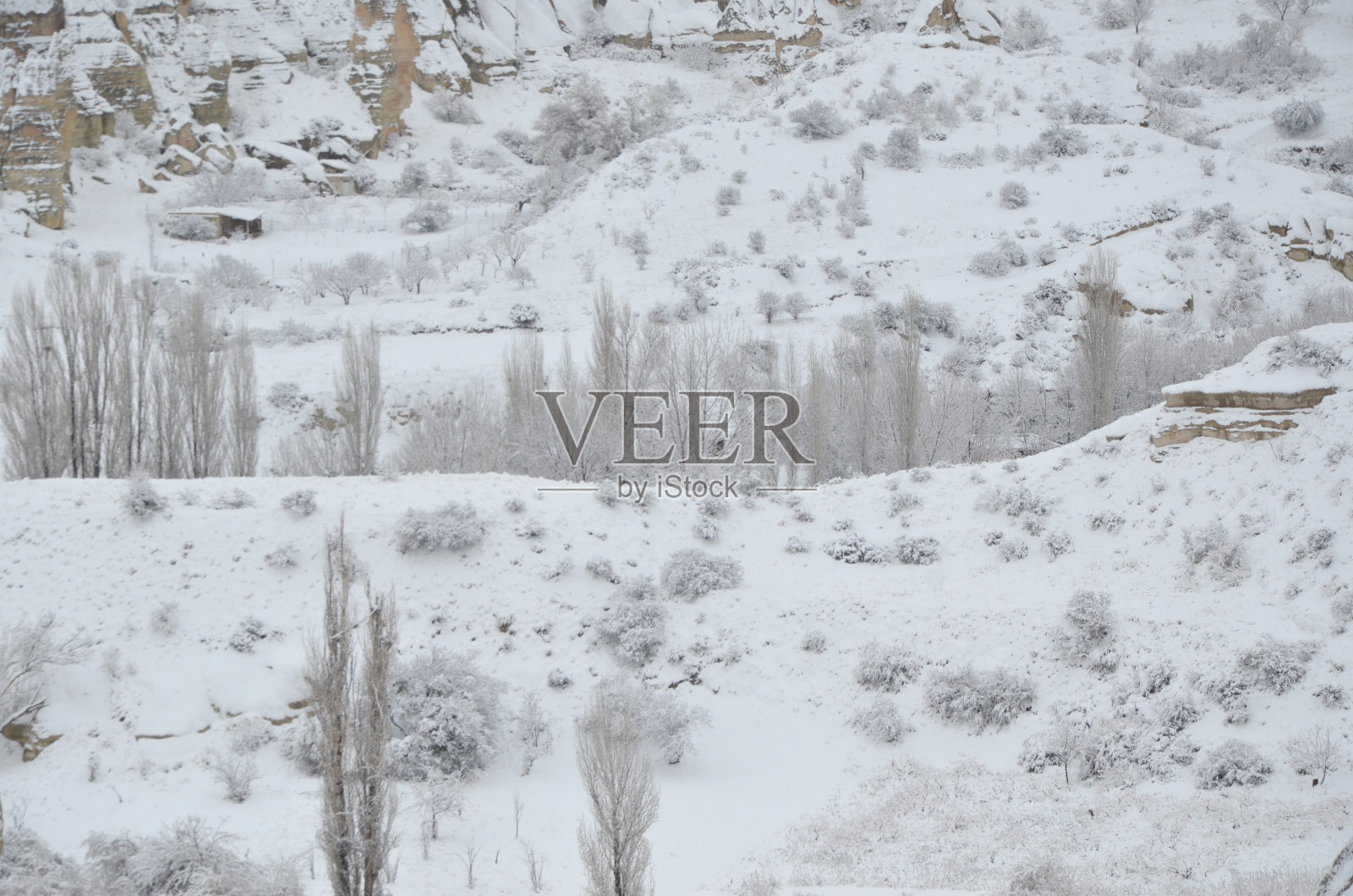 美丽的冬天景象,冰冻的树木和厚厚的雪飘落。照片摄影图片