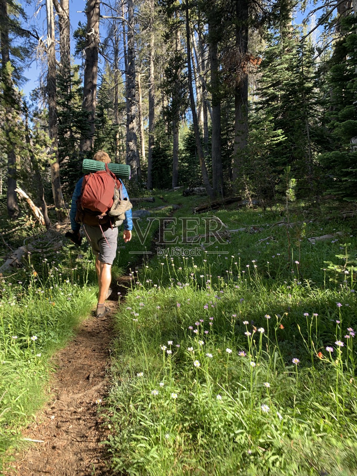 背包客照片摄影图片