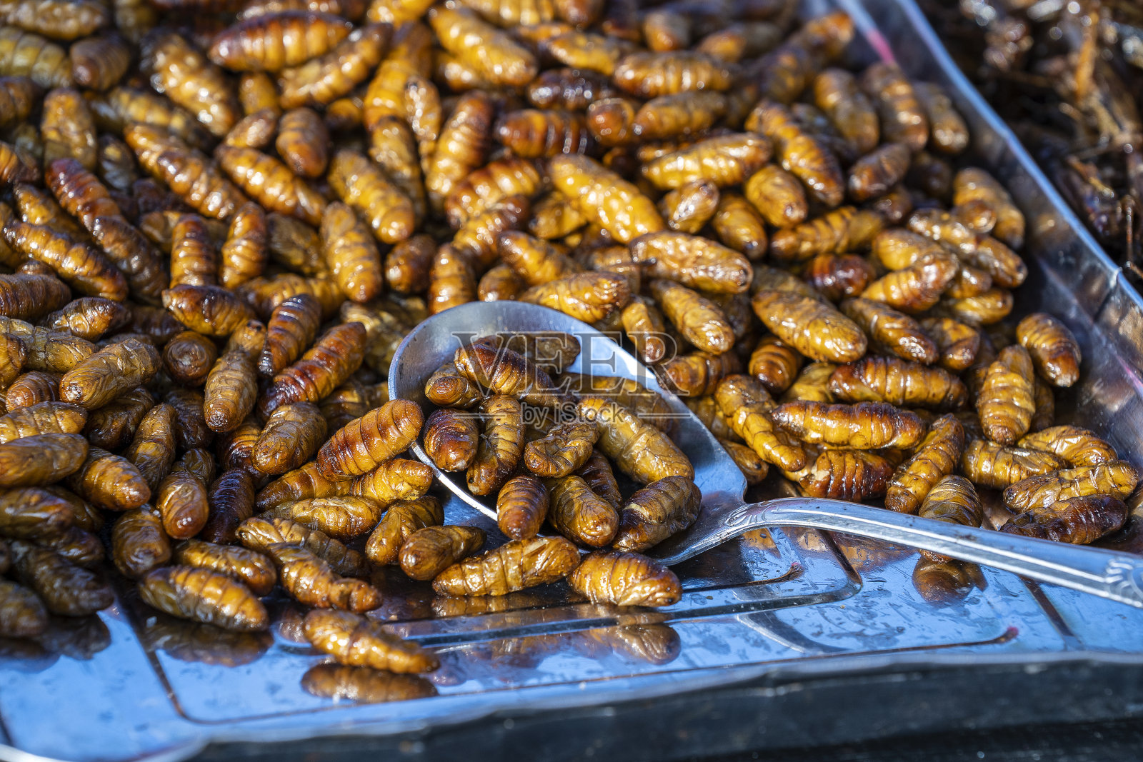 蚕蛹、蚕蛹油炸食品、油炸昆虫幼虫等为泰国外来小吃。街头小吃市场的泰国菜照片摄影图片