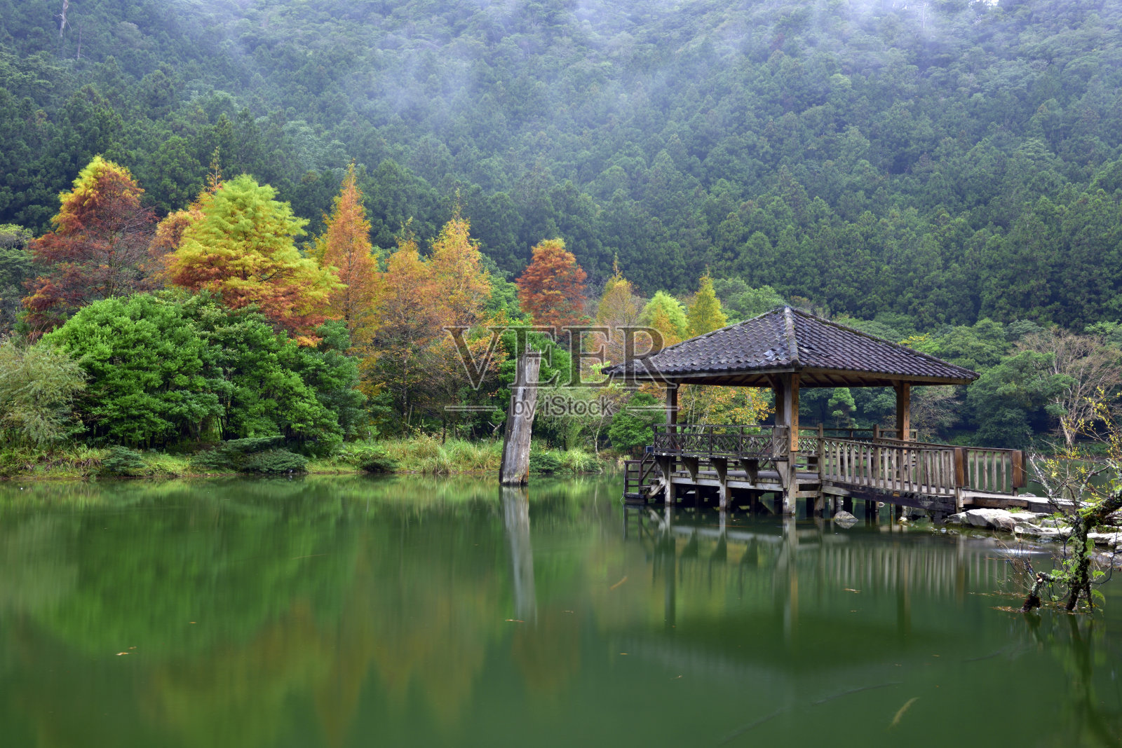明池国家森林游憩区照片摄影图片