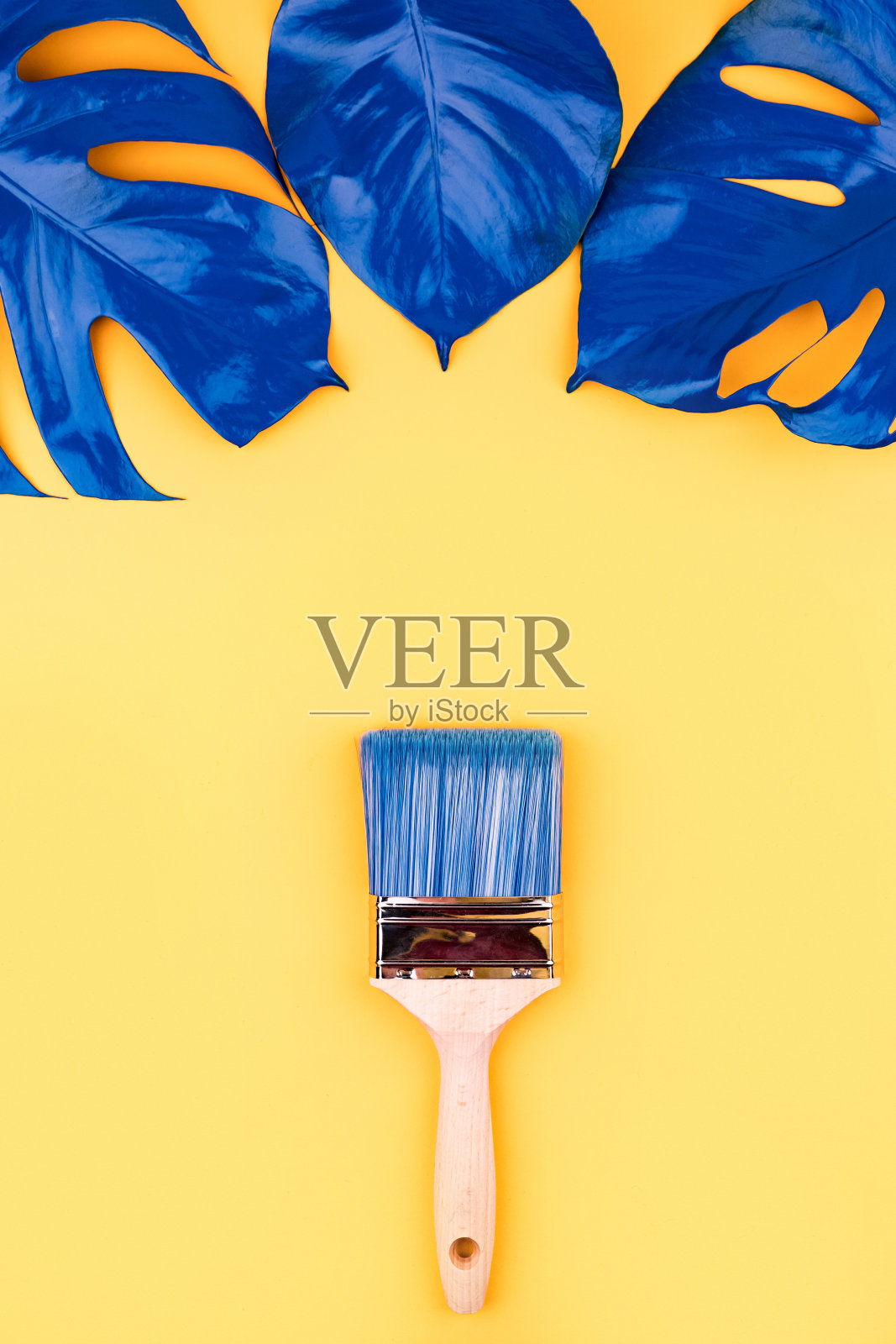 蓝色的灌木和两片植物的叶子。照片摄影图片