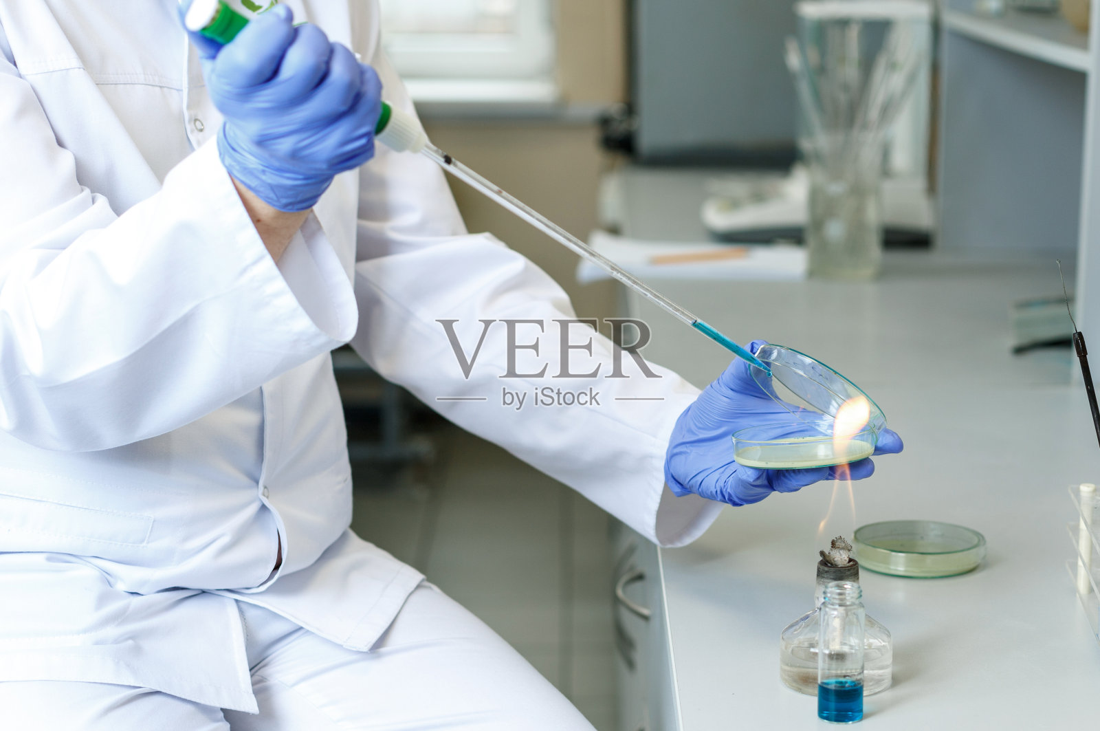 实验室助理分析细菌样本使用医疗设备在细菌学诊所。照片摄影图片