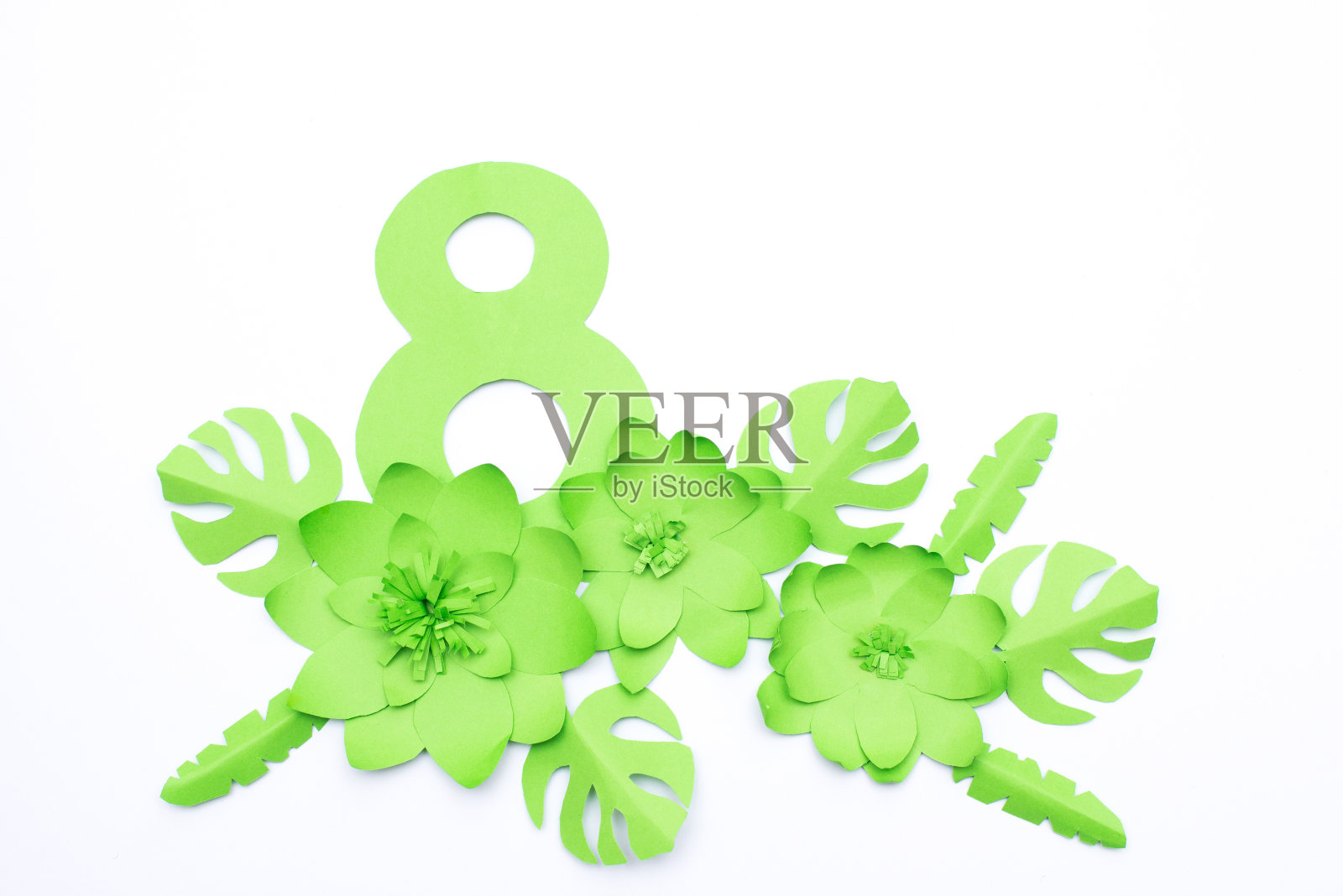 3月8日国际妇女节贺卡用绿色的纸叶子和白色的花照片摄影图片