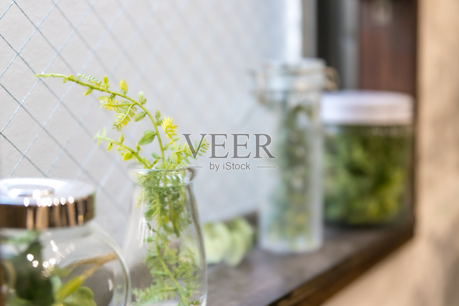 窗台室内植物,东京,日本照片摄影图片