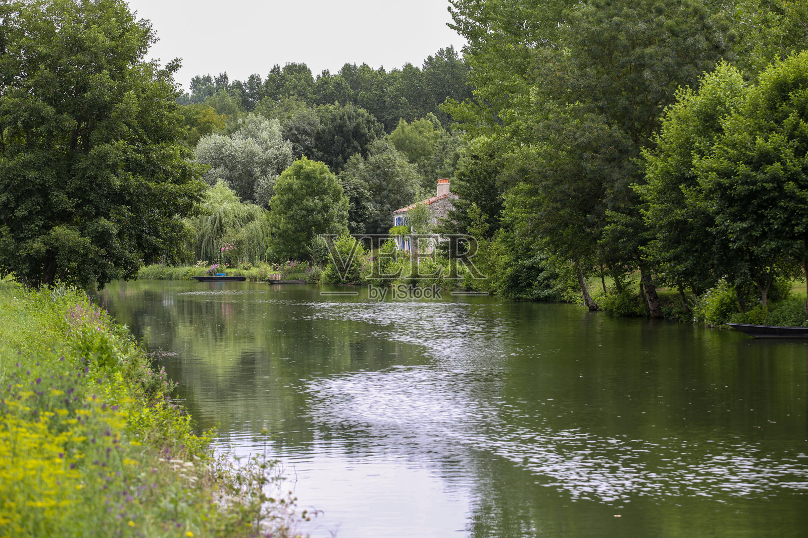Poitevin沼泽的照片摄影图片