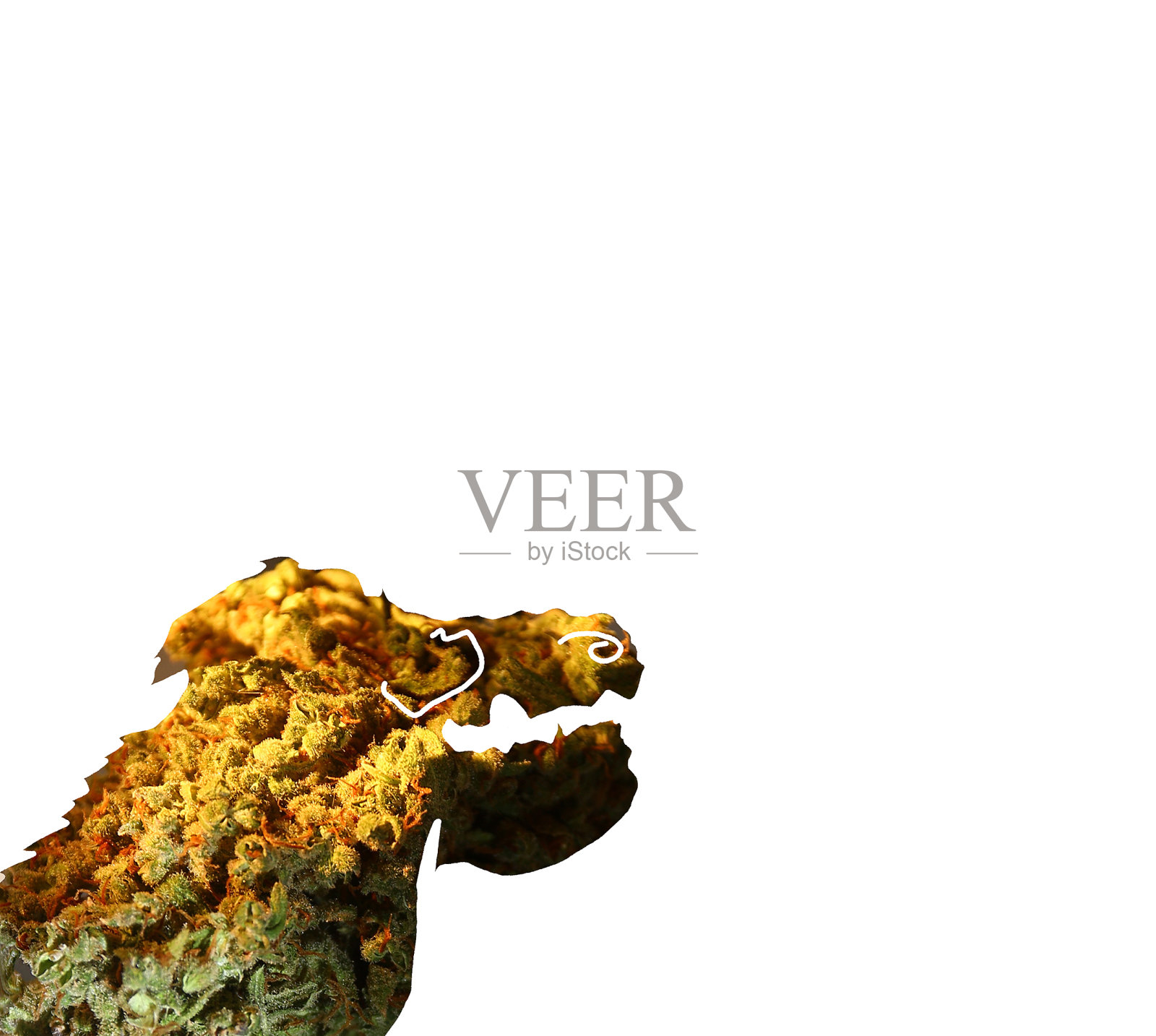 大麻纹理趣味龙照片摄影图片