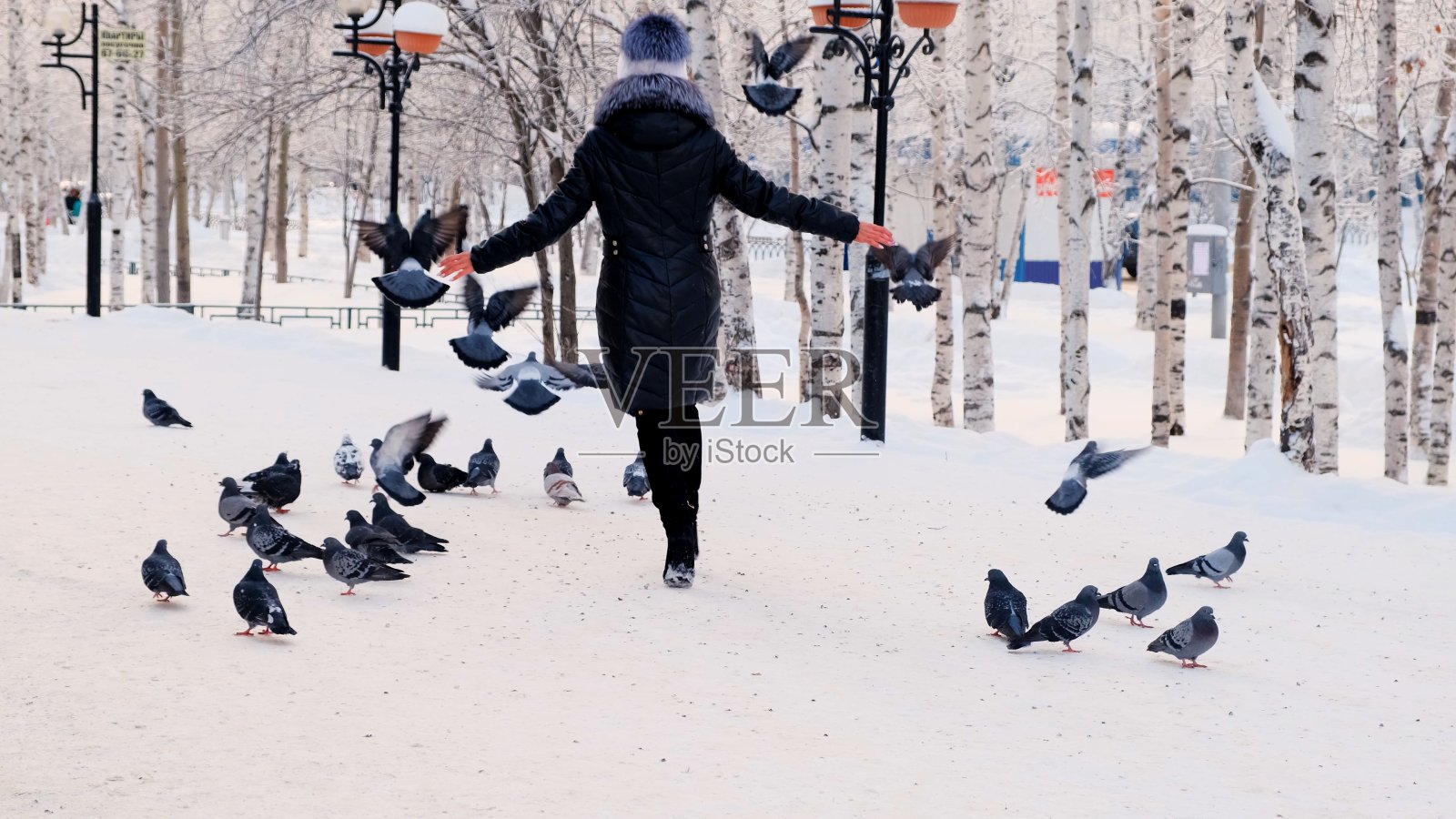 女人在冬季公园里散步,鸽子落在雪地上照片摄影图片