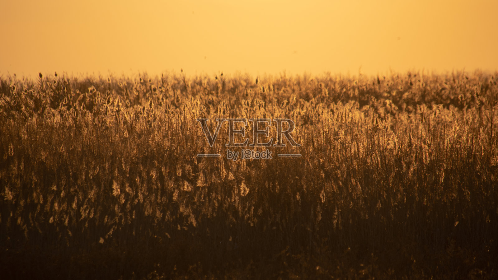 日落在瓦伦西亚照片摄影图片