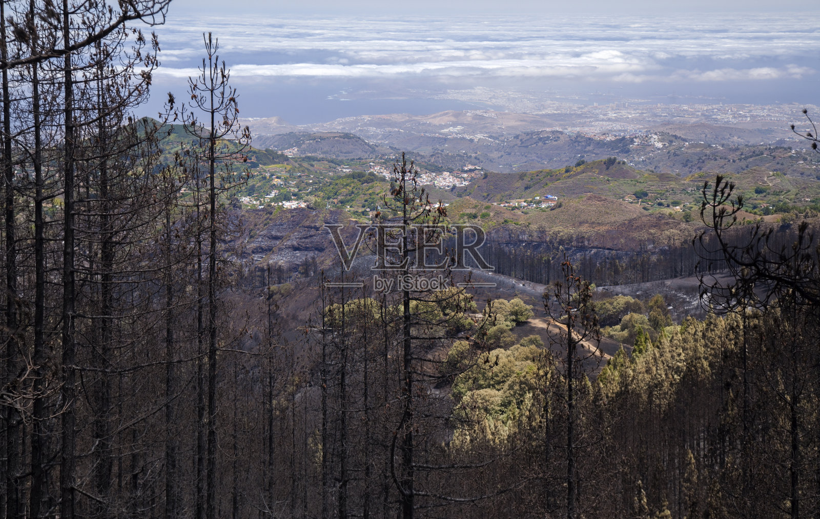 2019年8月大火后的大加那利岛照片摄影图片