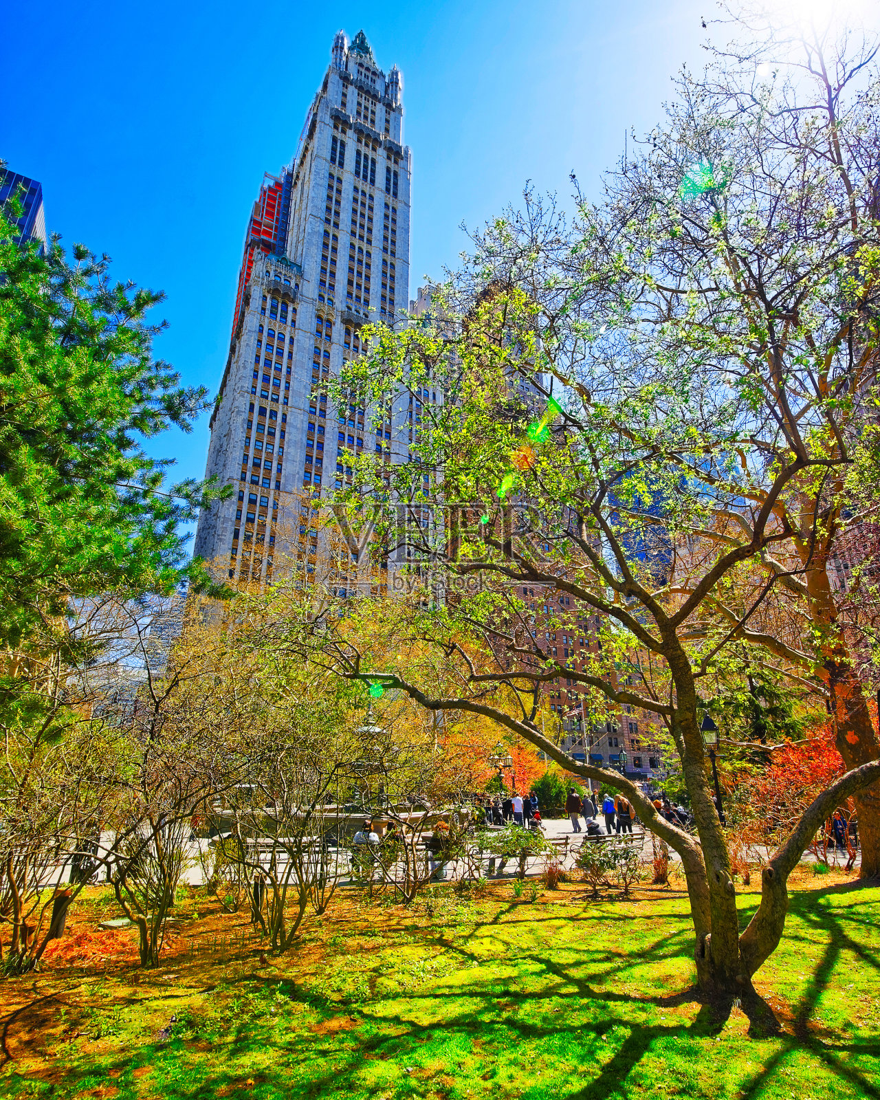 曼哈顿下城市政厅公园的树木反射照片摄影图片