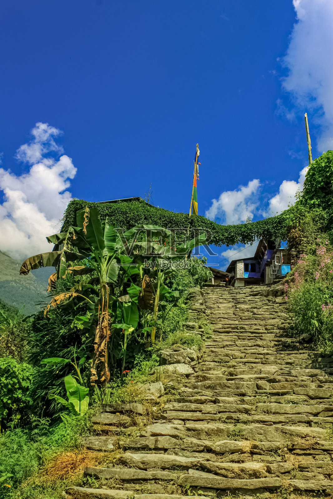 山谷的清新照片摄影图片