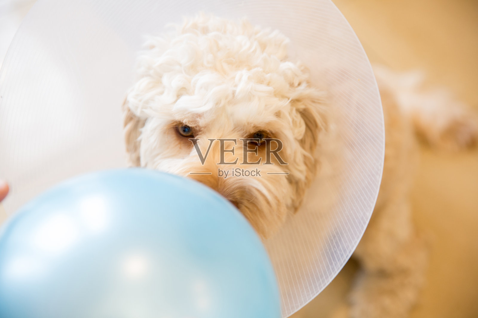 手术后照片摄影图片