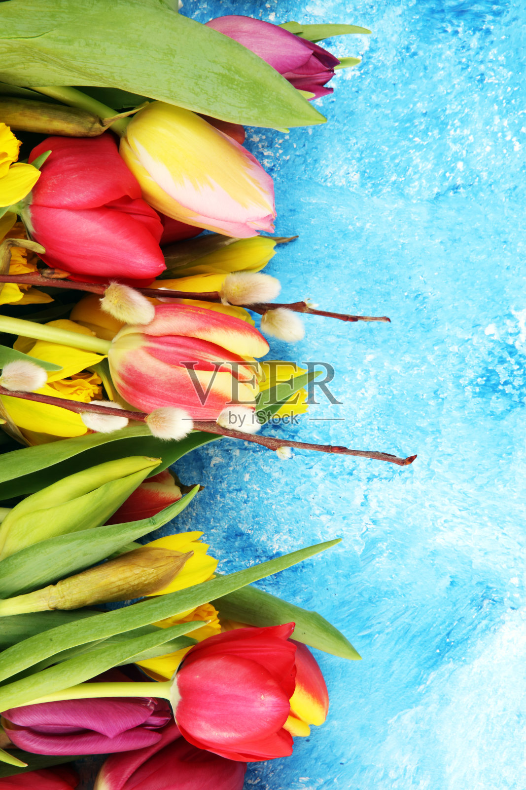 盛开的水仙花和复活节郁金香作为春天的装饰照片摄影图片