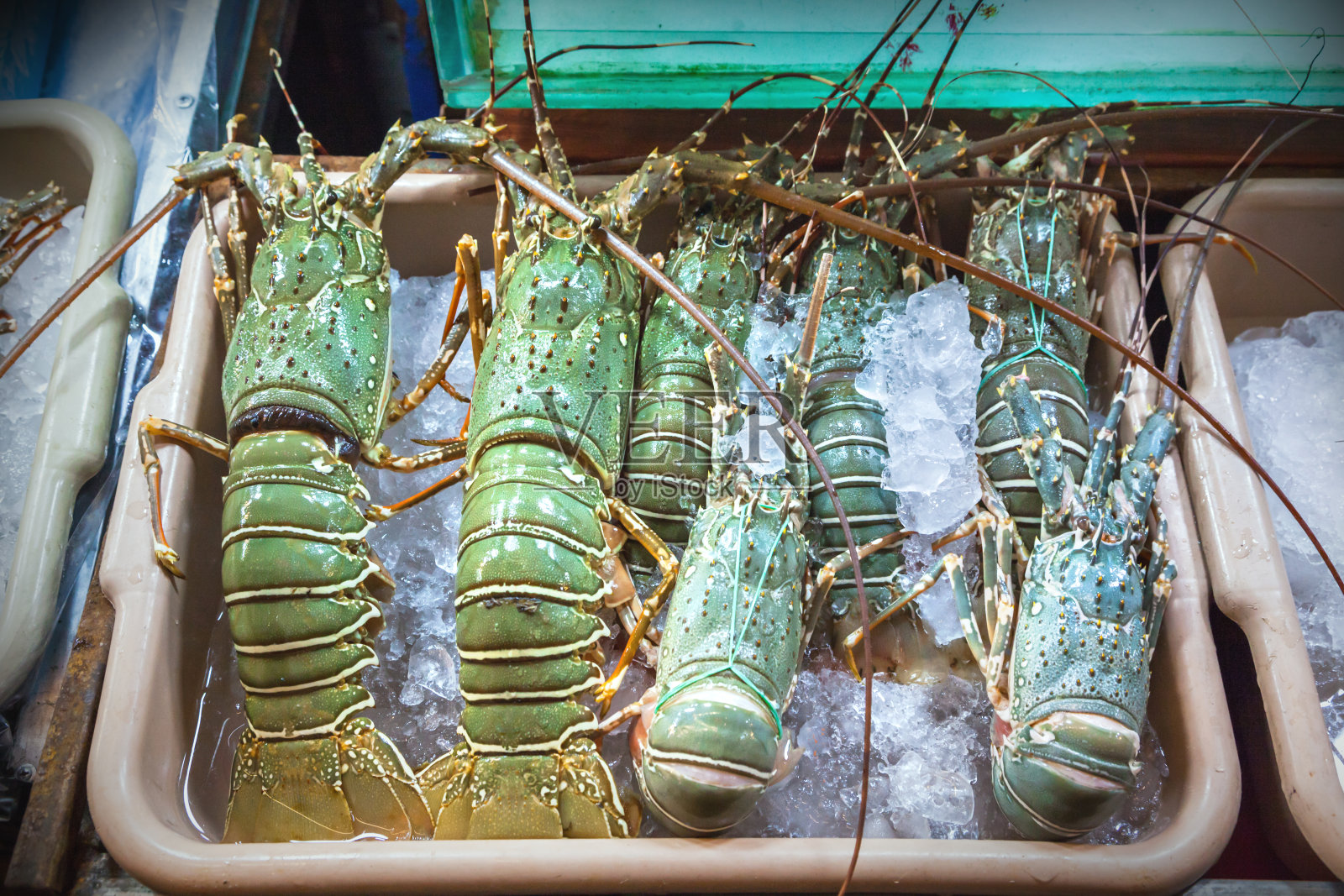 龙虾照片摄影图片