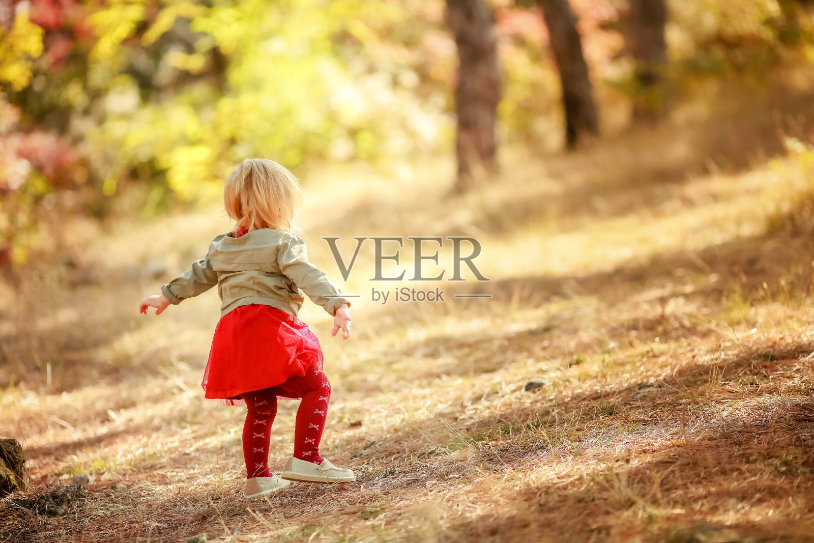 自然公园里5岁的孩子照片摄影图片