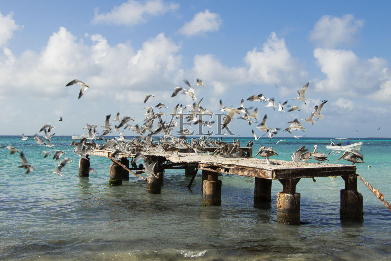 格兰罗克一世照片摄影图片