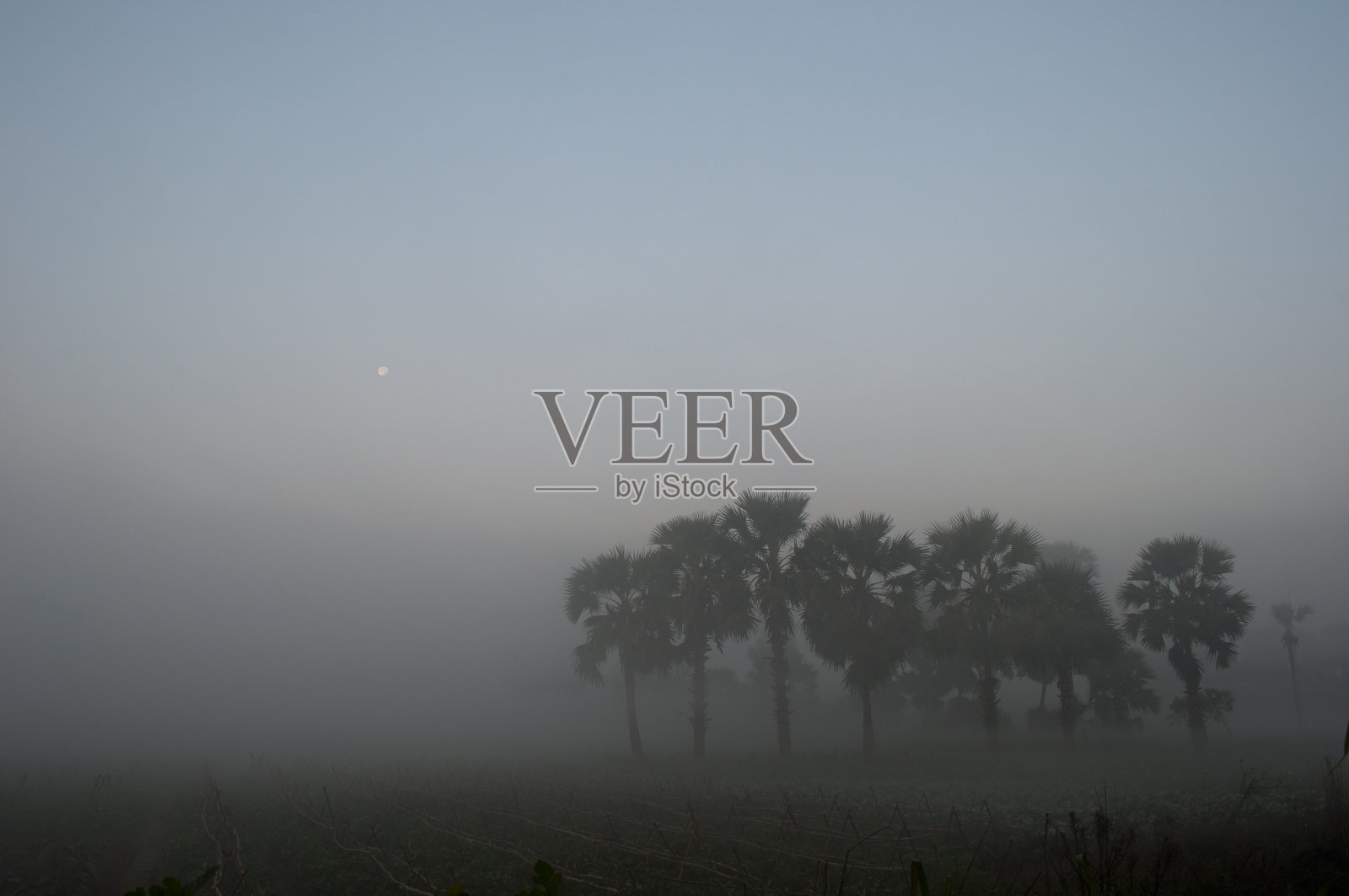 冬天黎明时分的景象照片摄影图片