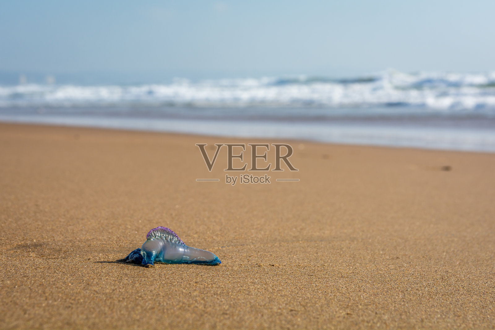 沙滩上的战争照片摄影图片