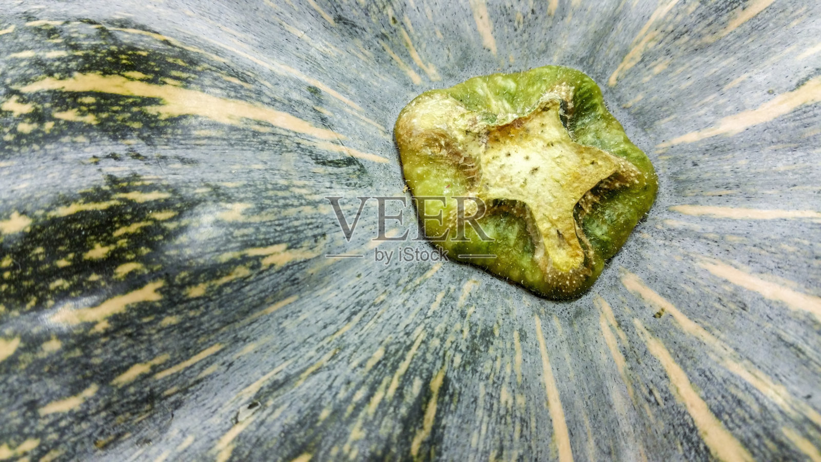 南瓜顶部的特写照片摄影图片