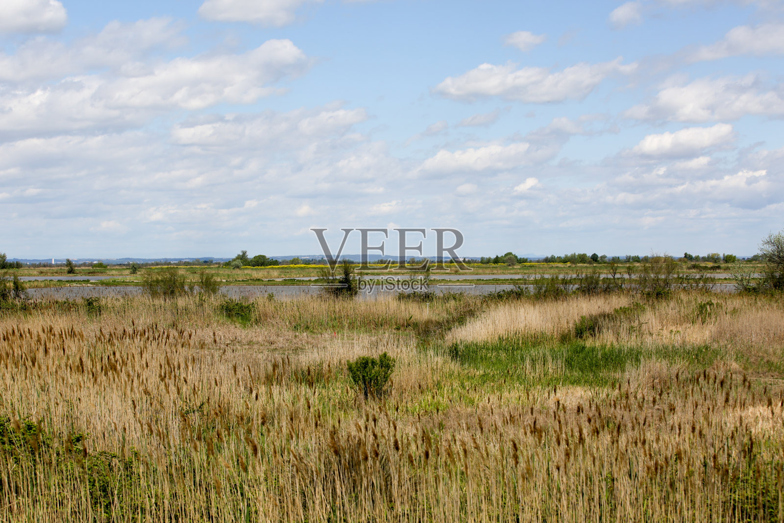 法国卡玛格一直照片摄影图片