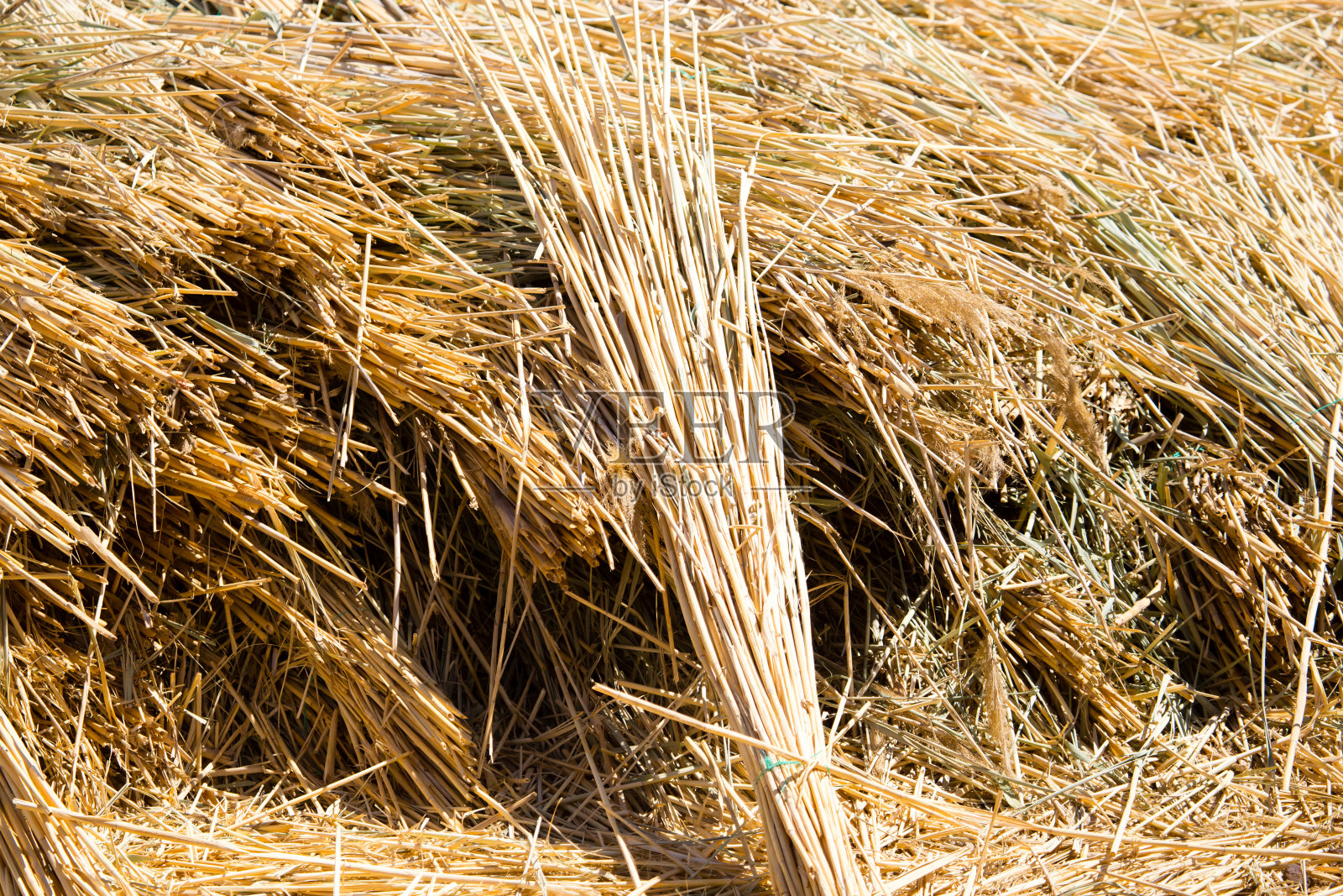地面上晒着黄色干草作为背景照片摄影图片