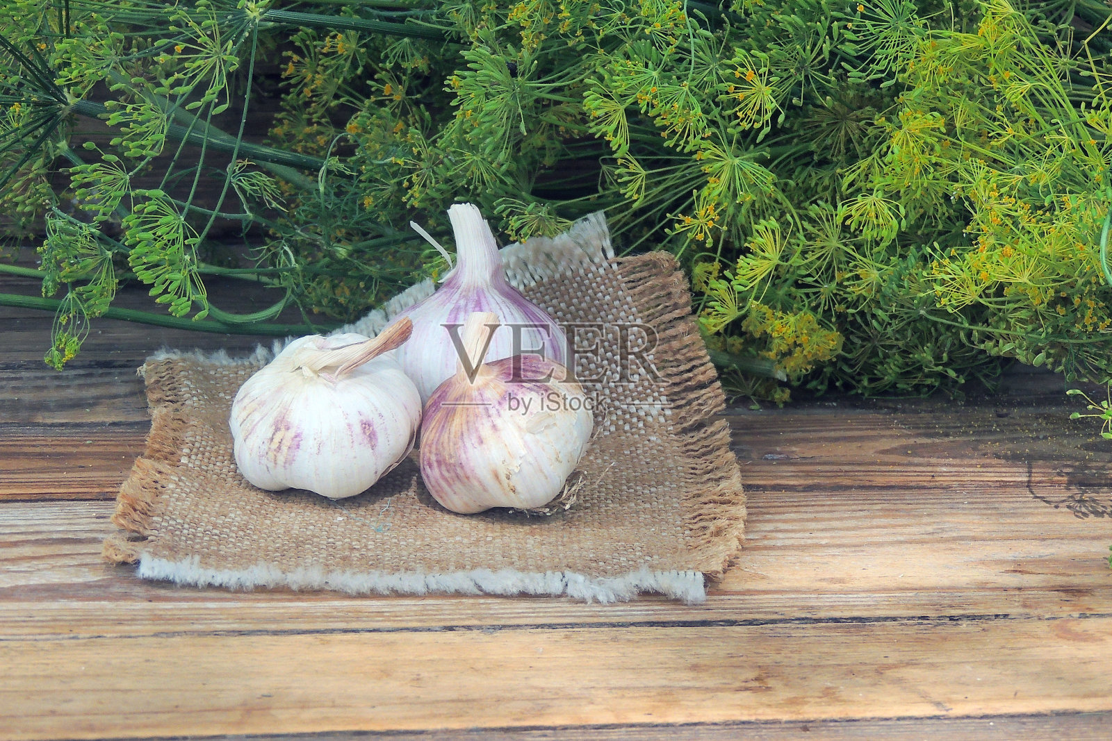 大蒜,番茄和莳萝照片摄影图片