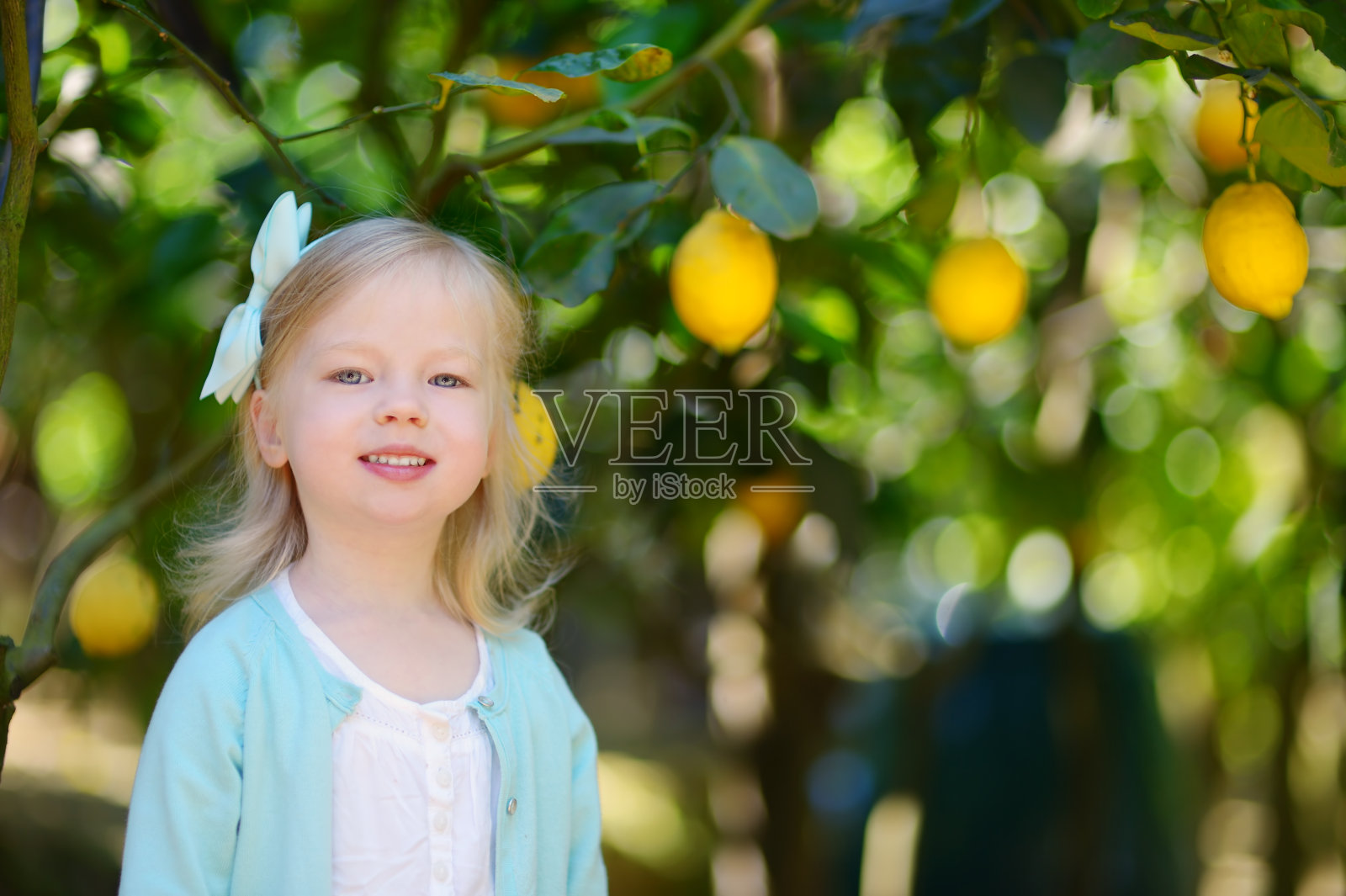 可爱的小女孩正在采摘新鲜成熟的柠檬照片摄影图片