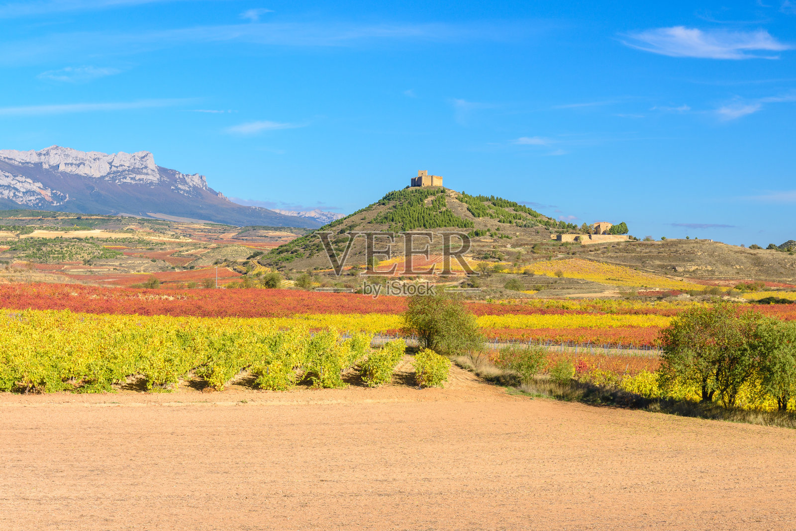 葡萄园与达瓦约城堡为背景,拉里奥哈照片摄影图片