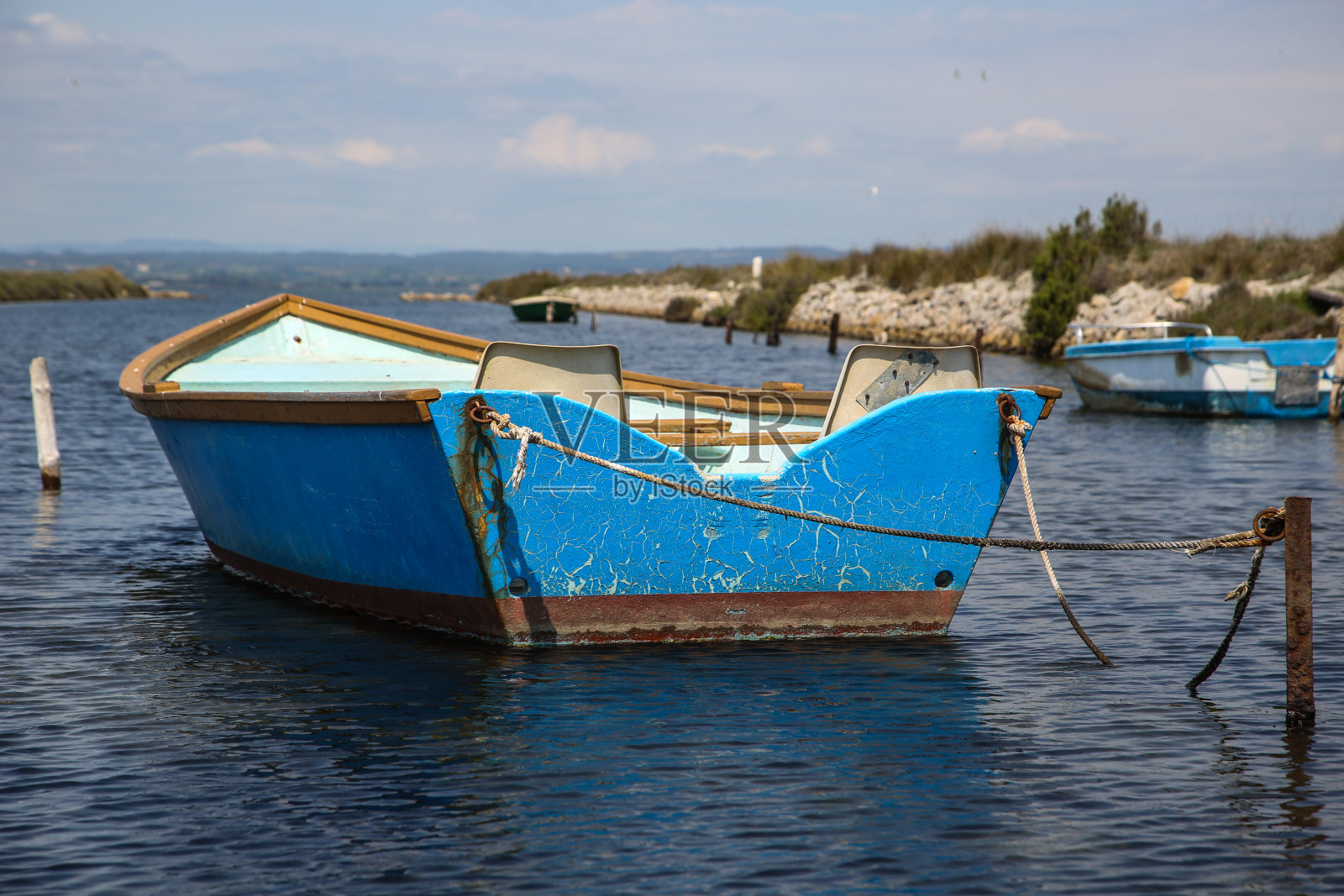 法国卡玛格一直照片摄影图片