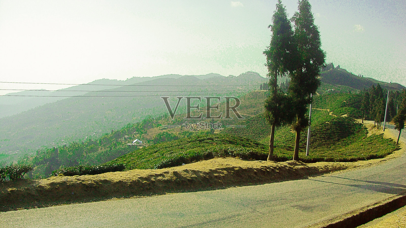 山坡上种植着茶叶的美丽山脉照片摄影图片