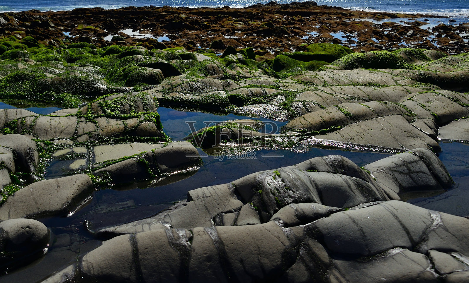 退潮时海岸有岩石表面照片摄影图片