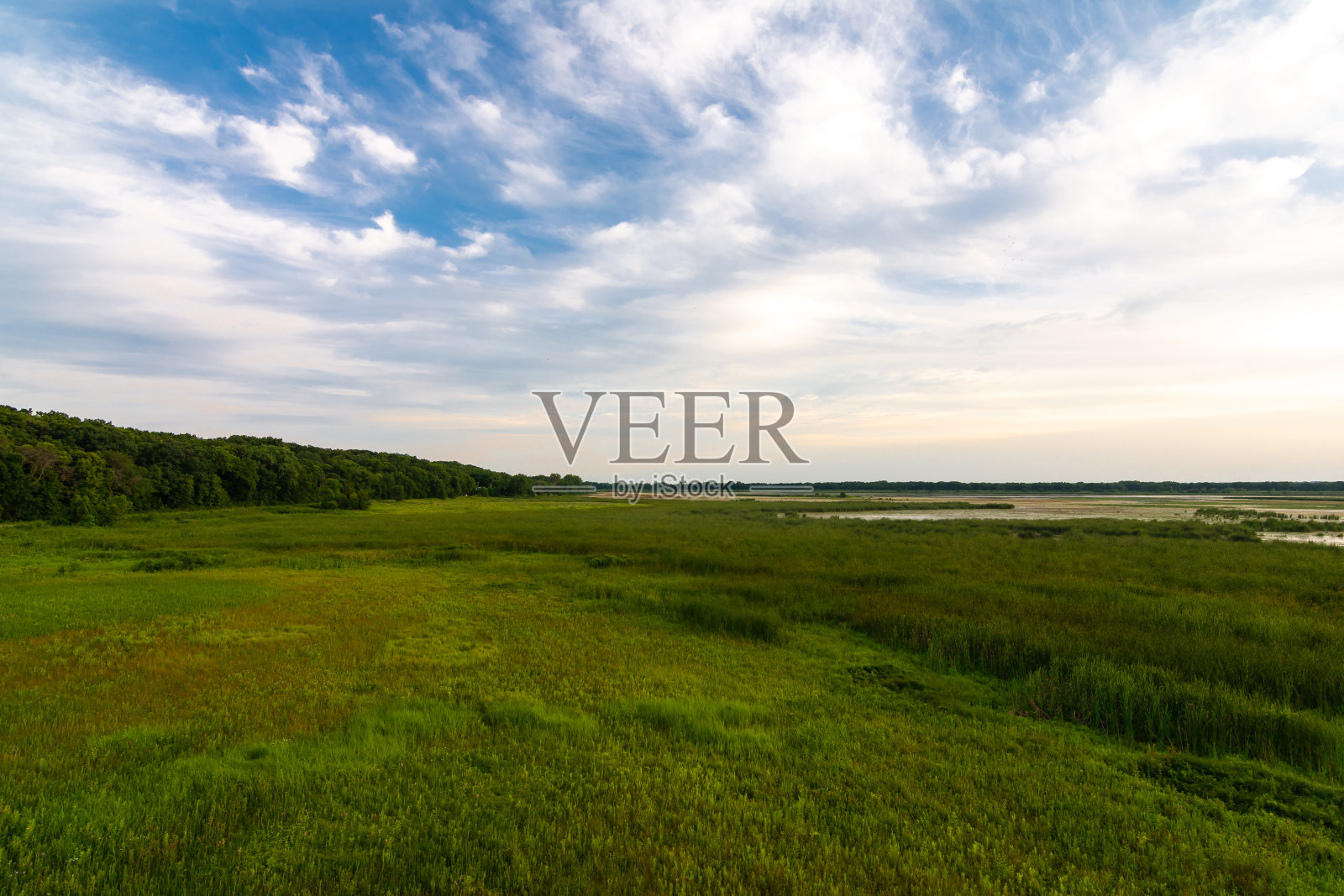 夏天的傍晚在狄克逊水鸟避难所照片摄影图片