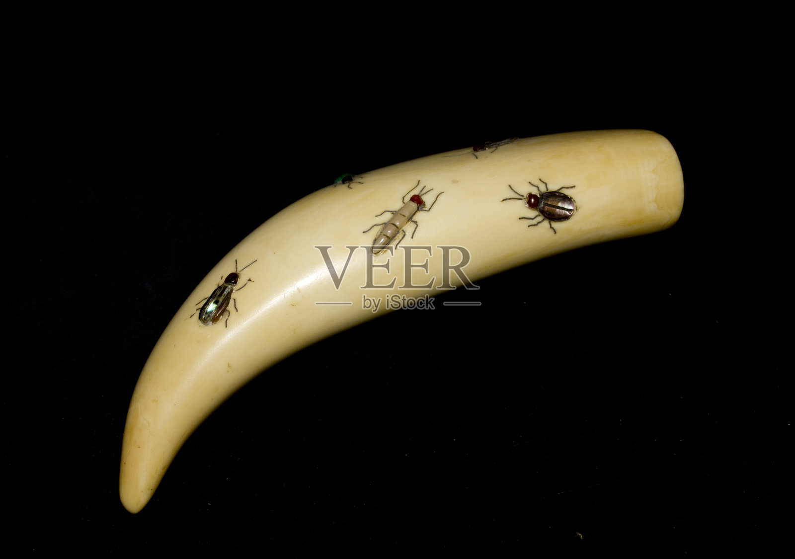 19世纪柴山雕刻镶嵌着各种甲壳虫乐队照片摄影图片