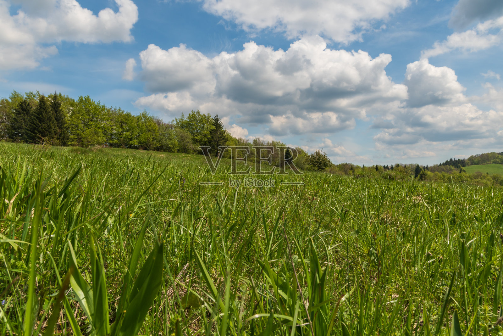 春天的Velka Fatra山在斯洛伐克有山地草地,森林和蓝天与云彩照片摄影图片