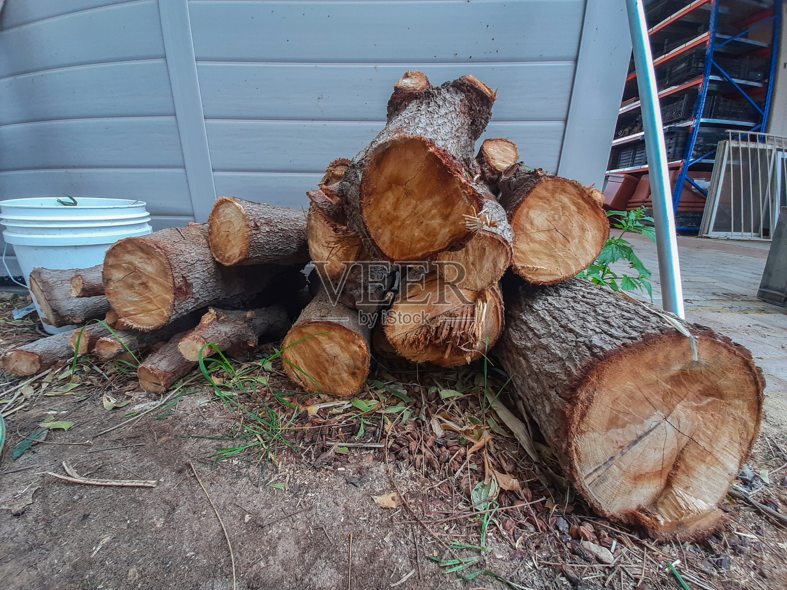 花园里的木头照片摄影图片