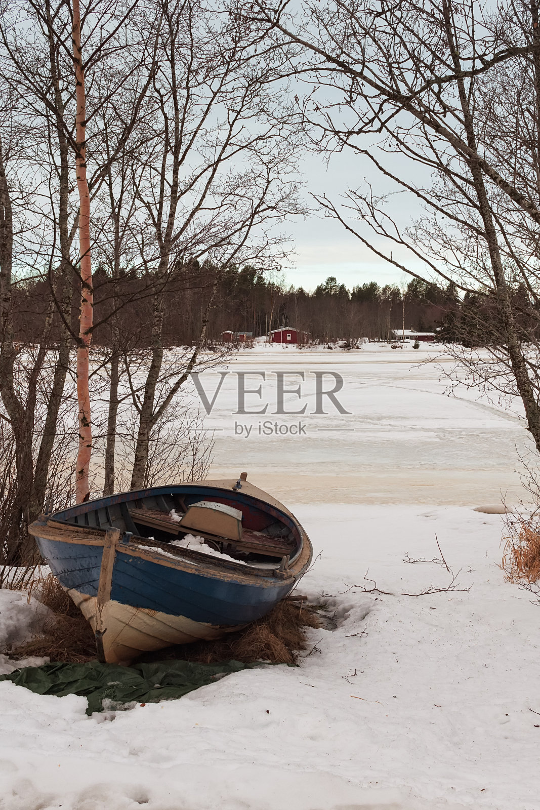 树间的老渔船照片摄影图片