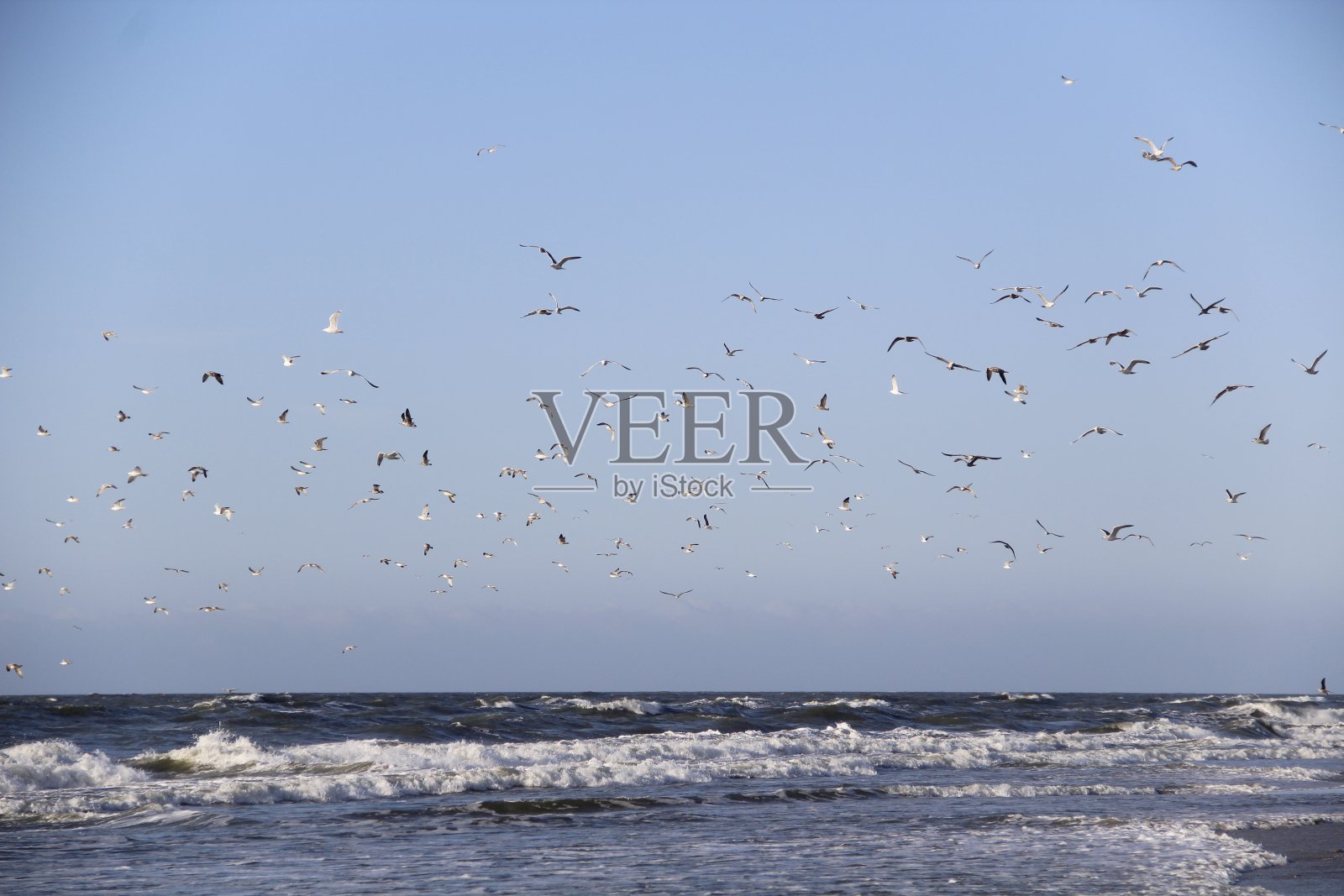 波罗的海照片摄影图片