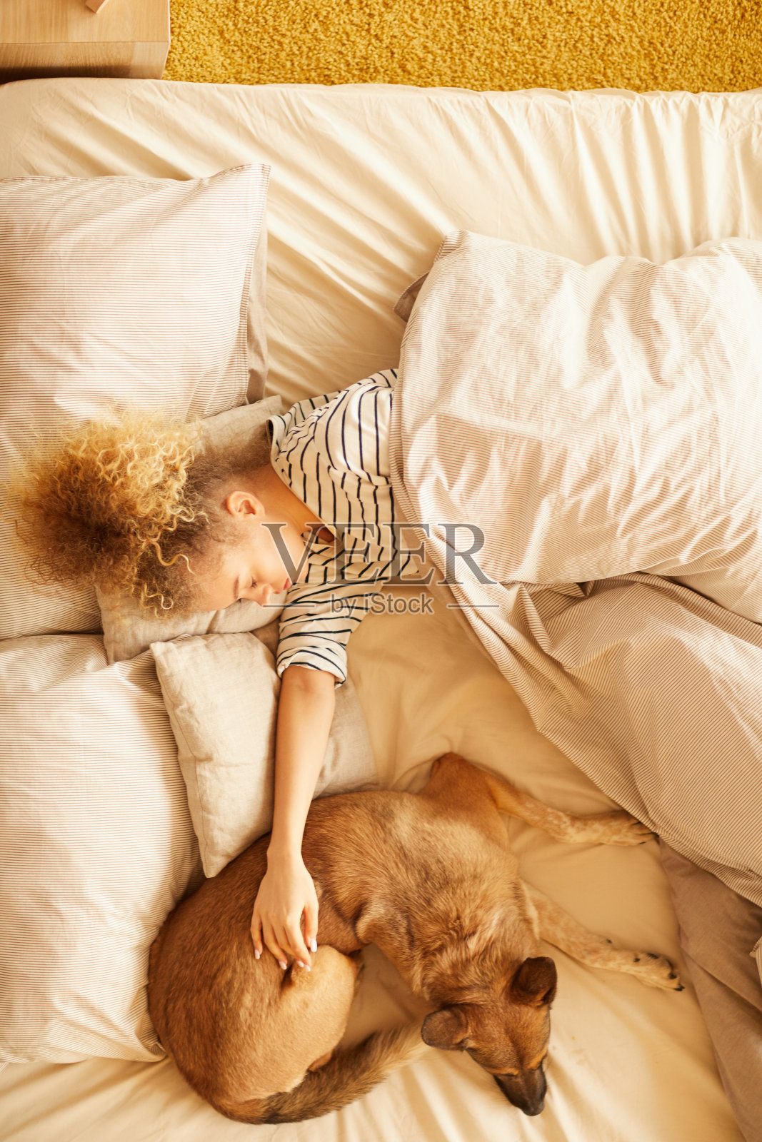 狗狗与生病的主人照片摄影图片