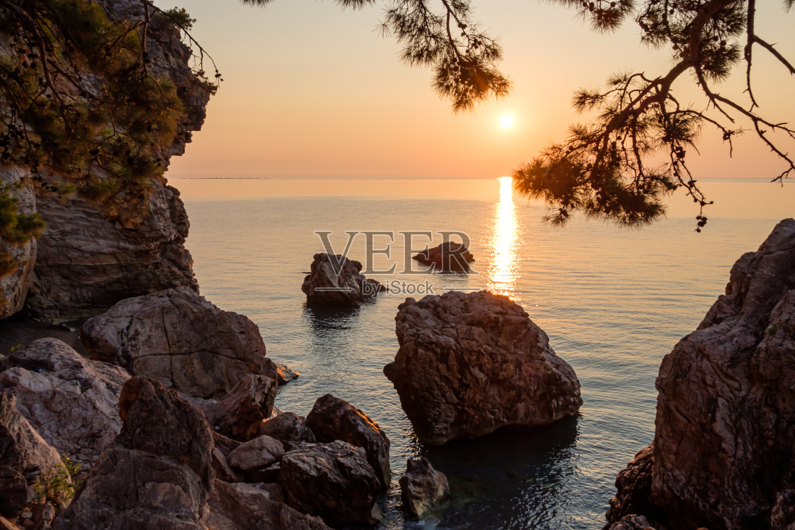 黎明时分,在布满岩石的海岸上,阳光透过一棵松树的树枝照射下来照片摄影图片