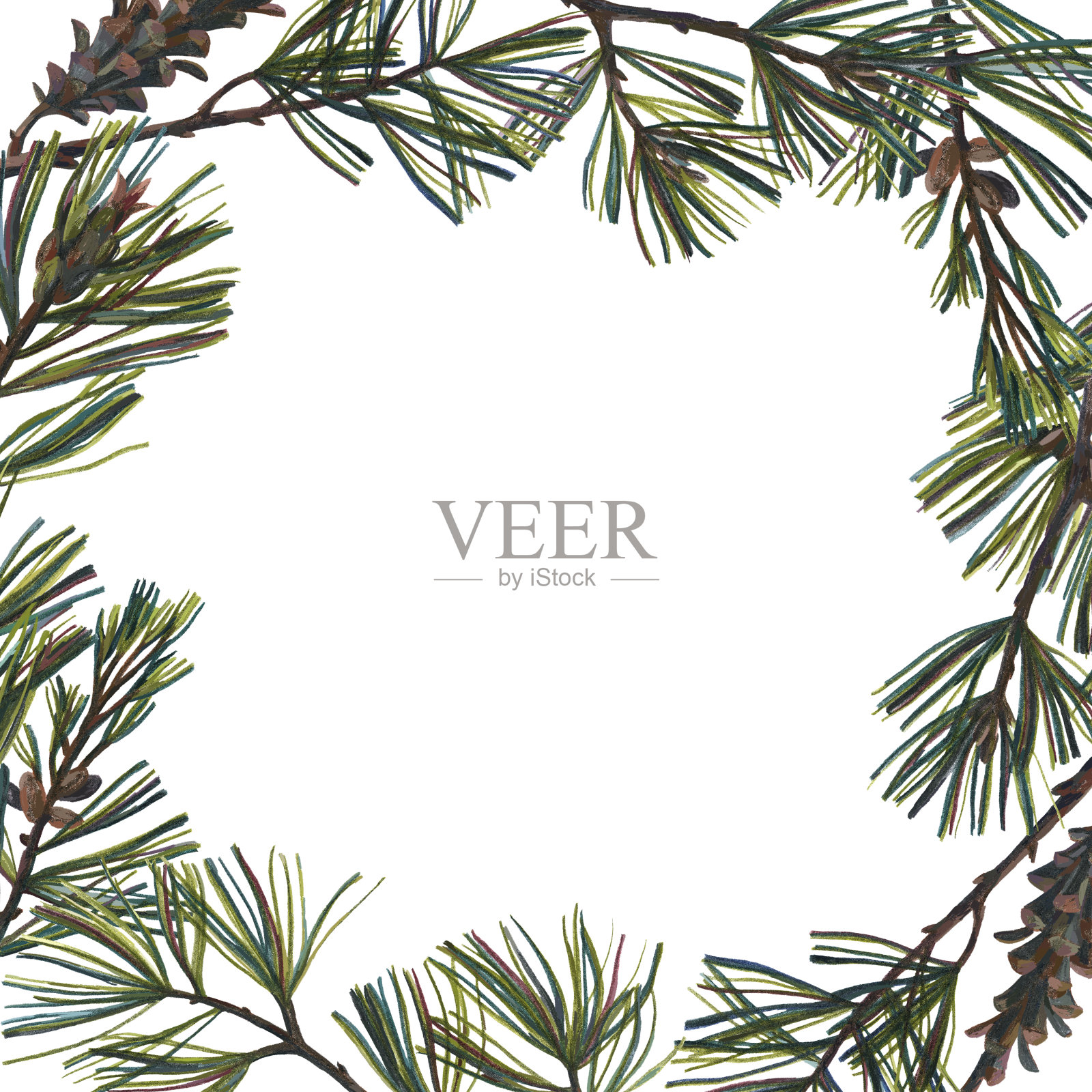 植物卡片孤立在白色插画图片素材