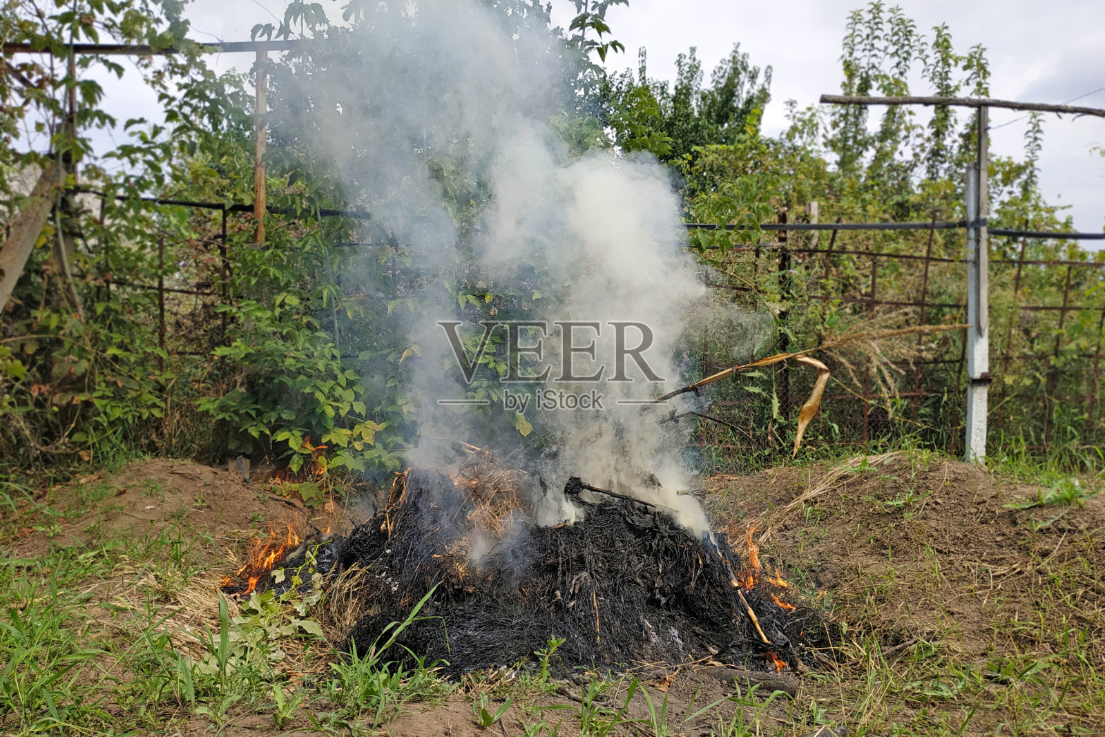 烟从火中升起。夏天的茅舍里干草冒烟照片摄影图片