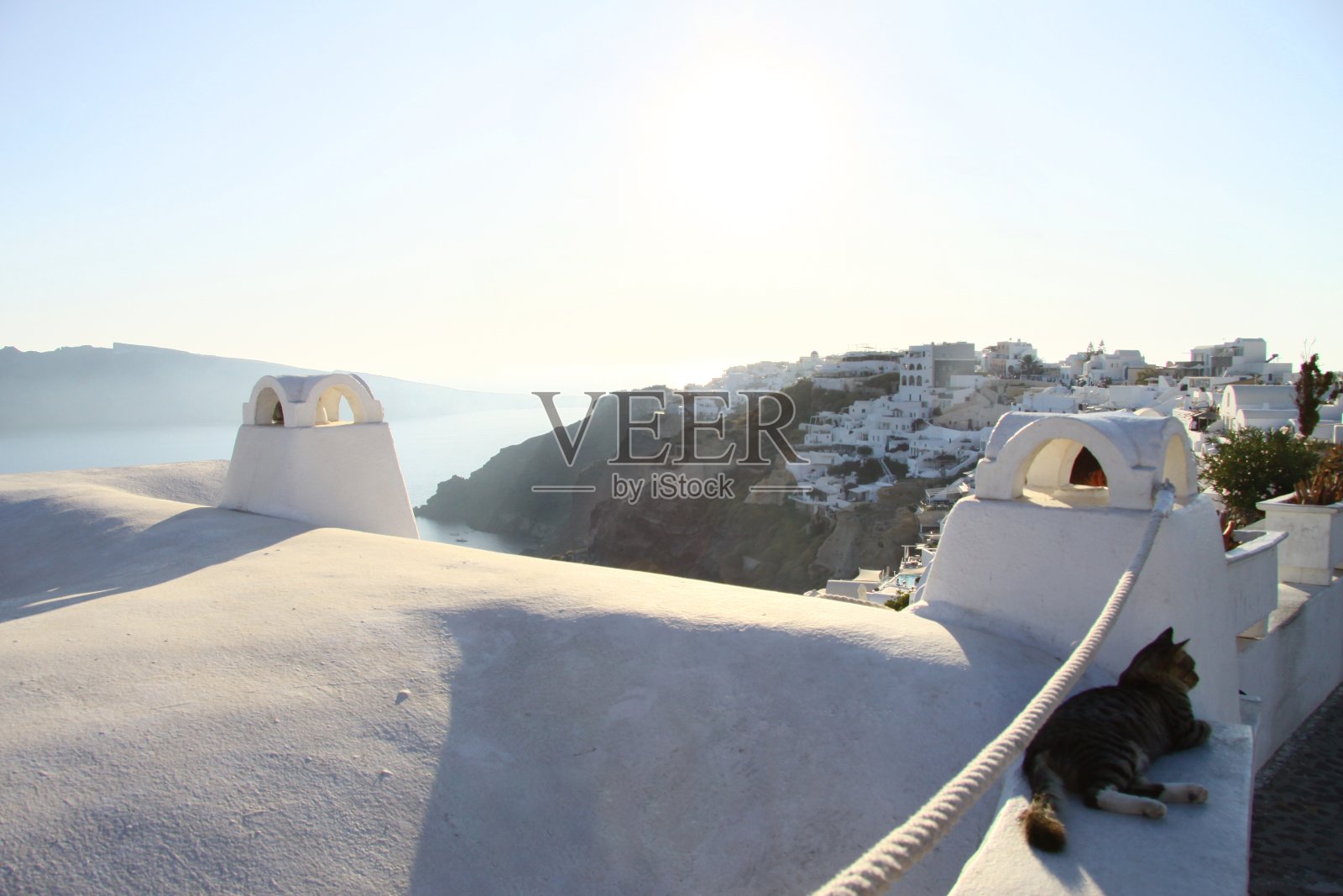 在圣托里尼岛当一只猫照片摄影图片