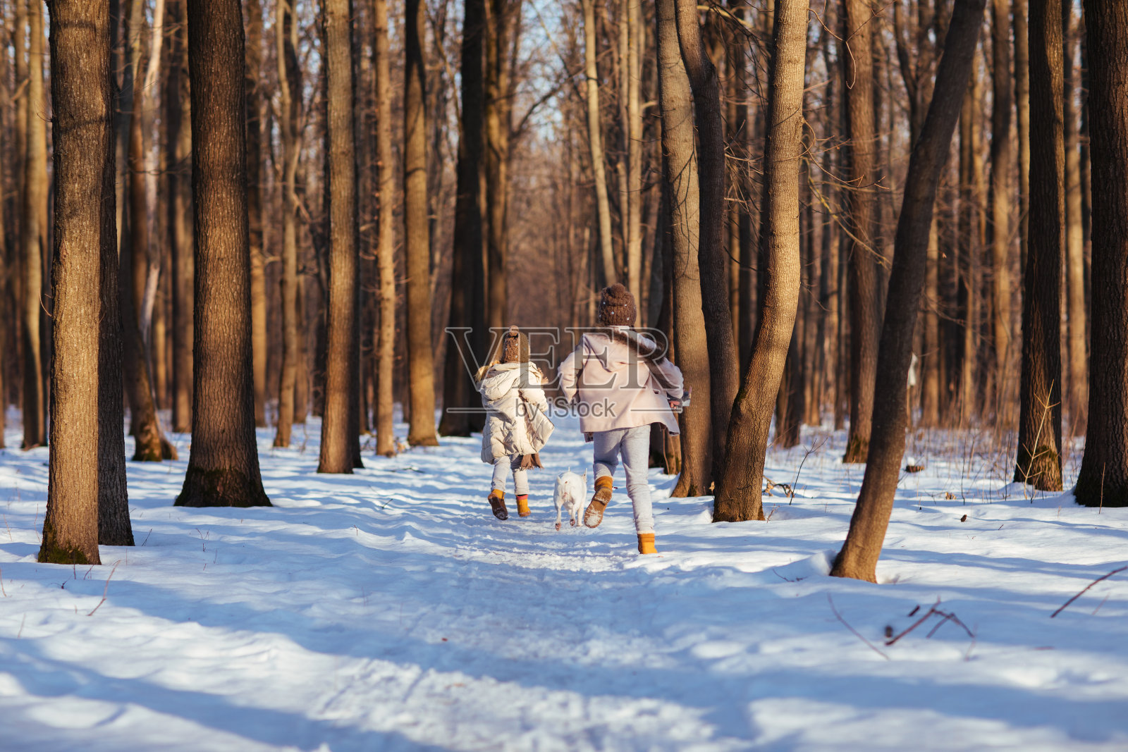 孩子们带着狗在冬日森林里奔跑照片摄影图片